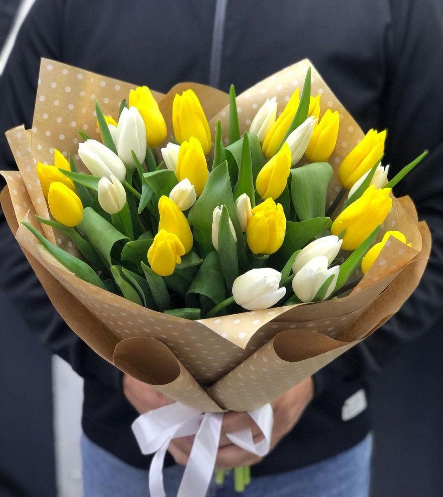 Milované tulipány, klasické - bielo/žltá verzia M