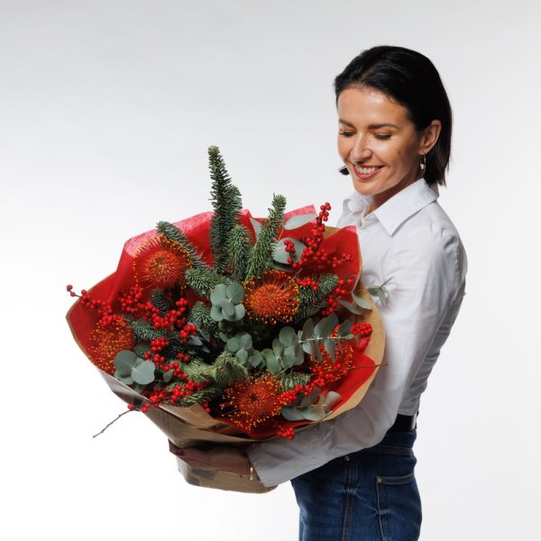 Zimná noblesa Zimná noblesa