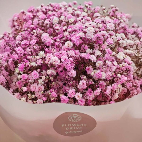 Kytica z gypsomilky - Pink dream