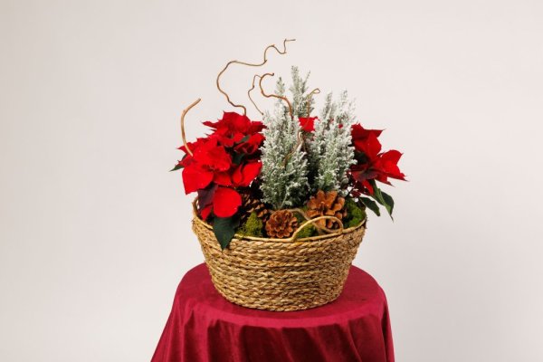 Vianočná záhrada v košíku