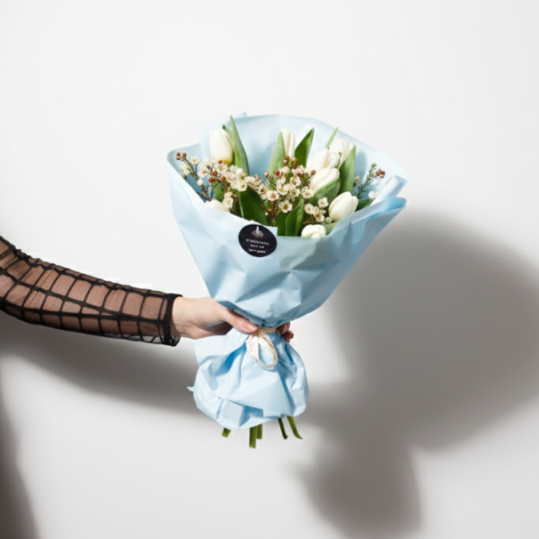 Kytica - Candy Kytica - Candy