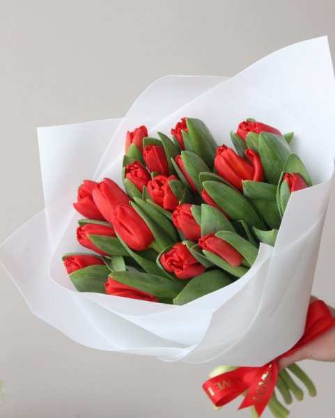 Červená kytica tulipánov