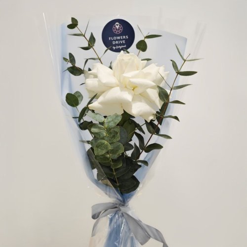 Korporátna kytica - francúzska ruža White