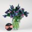 Milované Bubble tulipány, exkluzívne - mono kytica