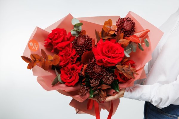 Kytica Red happiness Kytica Red happiness