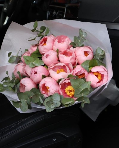 Kytica Velvet Peonies