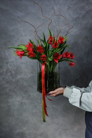 Jedinečná novinka - Tulipány v machu
