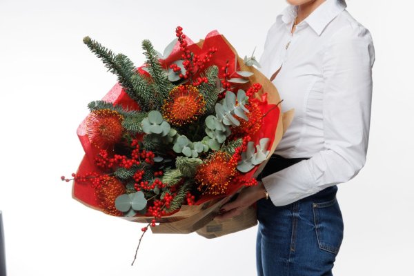 Zimná noblesa Zimná noblesa