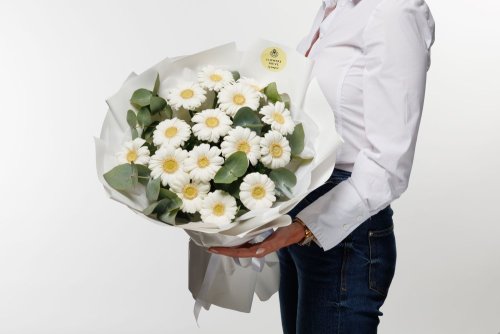 Kytica Nežná gerbera