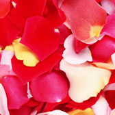 Lupene ruží - Farba: Červená