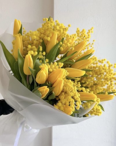 Krásna jarná kytica s voňavou mimózou a žltými tulipánmi, je perfektným darčekom na rôzne príležitosti. 
