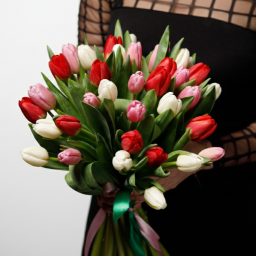 Kytica - Dancing queen