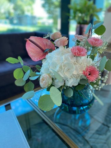 Čerstvé, rezané kvety do váz