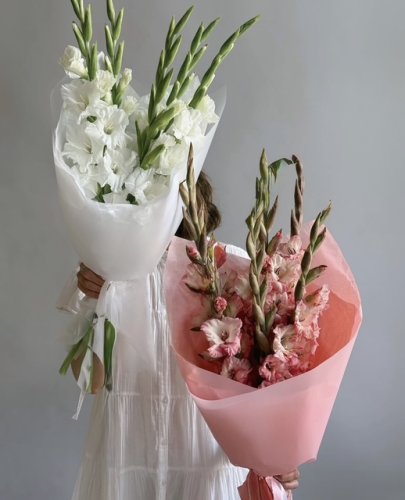 Kytica Nežná gladiola