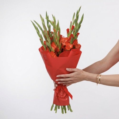 Kytica Červená gladiola