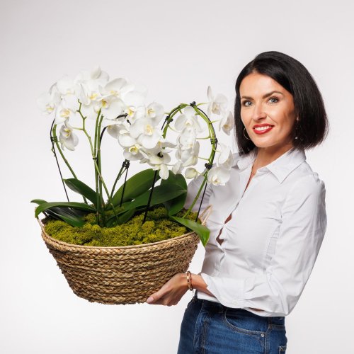 Kvety sú citlivo osadené v priestrannom prútenom koši. Darujte tento elegantný košík a potešte niekoho na kom vám záleží. Kvety sú citlivo osadené v priestrannom prútenom koši. Darujte tento elegantný košík a potešte niekoho na kom vám záleží.