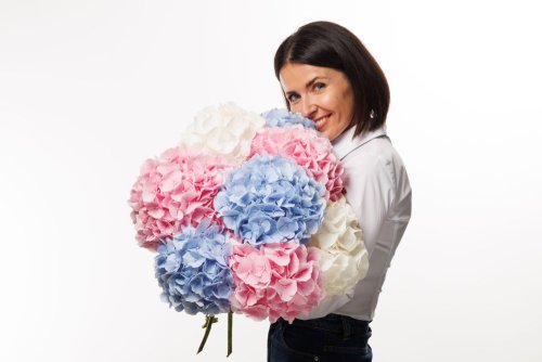 Hortenzia - mono kytica do vázy