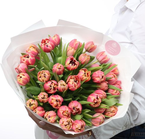 Kytica - Queen of Tulips