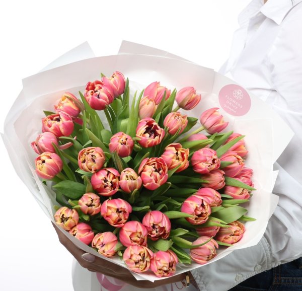 Kytica - Queen of Tulips