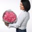 Kytica Pink romance