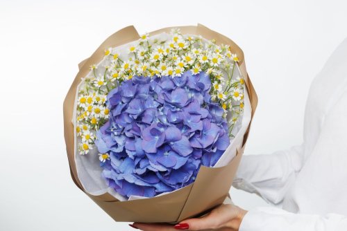 Kytica Good looks - blue