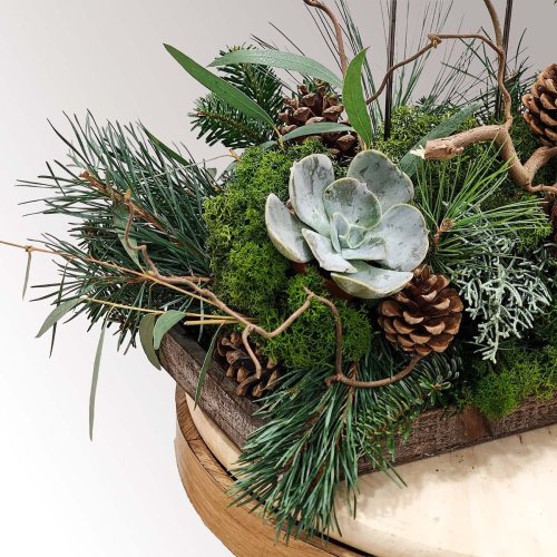 prírodný adventný veniec s vetvičkami a živou čečinou a skalnou ružou prírodný adventný veniec s vetvičkami a živou čečinou a skalnou ružou