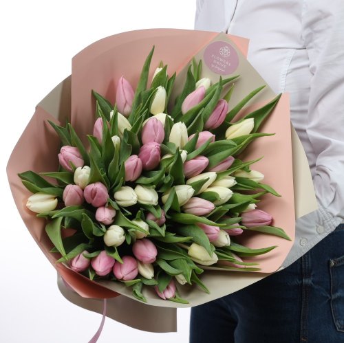 51 odtieňov tulipánov