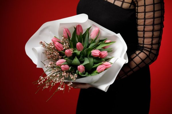 Kytica - First kiss tulips Kytica - First kiss tulips