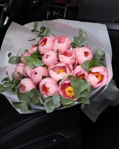 Kytica Velvet Peonies