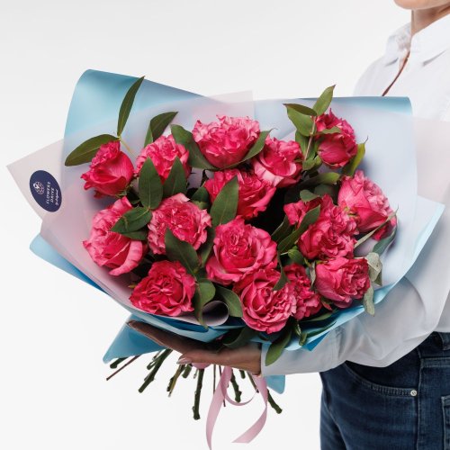 Kytica - Special One - luxury
