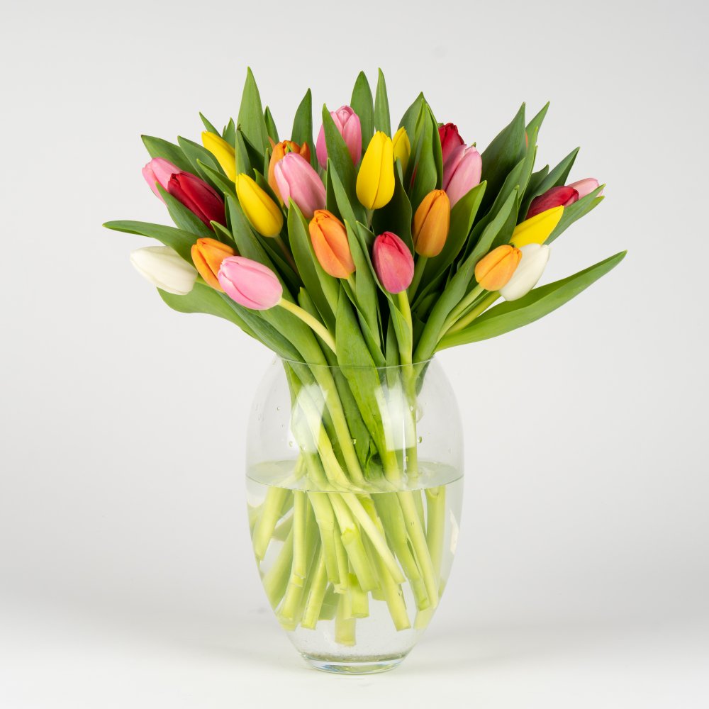E-shop Milované tulipány, klasické - mix farieb Mix L
